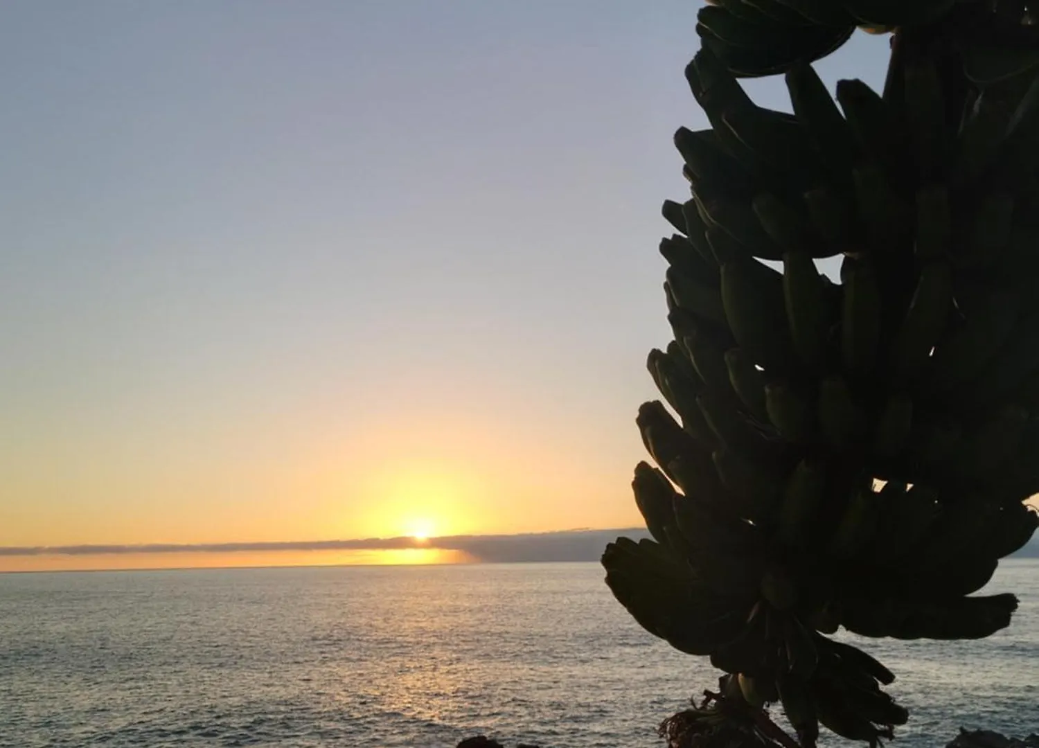 Finca Don Victor Playa de San Juan  Holiday home Playa de San Juan (Tenerife)